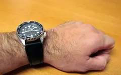 skx007s01p.webp