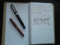 Entera.webp
