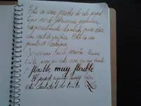 detalle.webp