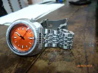 P1020315.webp