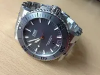 12980497385_e55b013071[1].webp