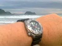 Citizen Zarautz Julio 2014.webp