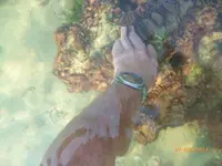 P1020330.webp