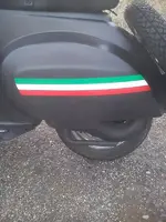 Vespa culito.webp
