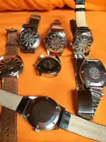 tortugas de culo.webp