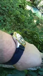 uploadfromtaptalk1409424958999.webp