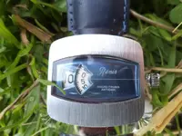 renis5.webp