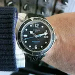 13463060705_b0ab69fcf0_z.webp