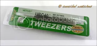 PinzasVetusfoto1.webp