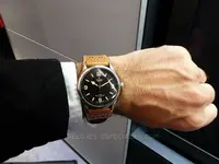 tudor_ranger-2.webp