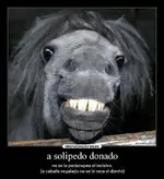 caballosonriente.webp