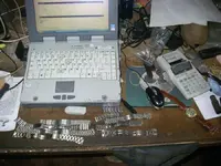 domingo.webp