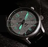 Dolphin_15.webp