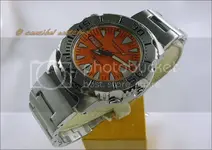 SRP309J1foto1_zps204928d9.webp