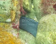 IMG_2396_zps718510a9.webp