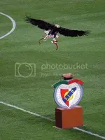 vitoria2.webp