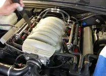 cg4n.webp