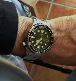 14013045790_c24c33af99_z.webp