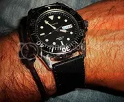 DSCN4877.webp
