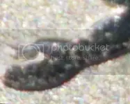 9b15e408-a879-4947-88db-b4f747d4d576_zpse636d0b1.webp