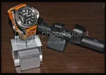 pa1_zps3bb061d2.webp