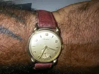 cyma 4 jpg.webp cyma 4 jpg.webp