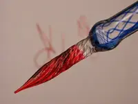 DSCN2628.webp