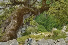 14265055984_0d7fe30e5a_h.webp