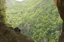 14265557875_983eaa35eb_h.webp