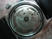 466203572_o.webp