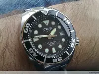 5640201977_4abb767335_b.webp