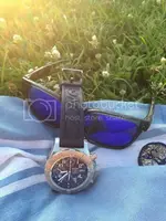 F5906278-CDA5-4DA9-8A48-026FBF615828_zpsgdmqlz4l.webp