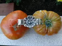 VERANO2009199_zps4c327e44.webp