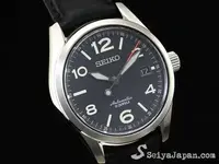 sarg011-c_large.webp