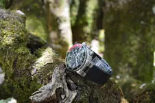 14234692068_e5762de81e_h.webp