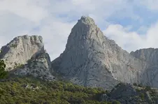 14397661976_b800eb7637_h.webp