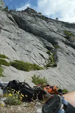 14417447661_c4f09d0612_h.webp