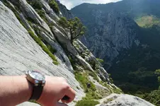 14420854415_1cc036e55d_h.webp