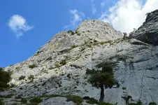 14420891265_bf217abbdf_h.webp