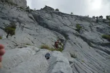 14419573162_1fc5f4f195_h.webp