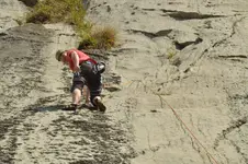 14419988444_35f7d12612_h.webp