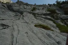 14419796422_e710417952_h.webp