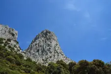 14398118126_aba4020806_h.webp