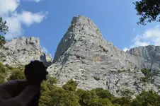 14420229724_43b497c019_h.webp