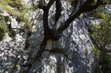 14441491053_e1c796e22f_h.webp