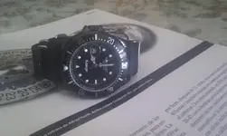 IMAG0036.webp