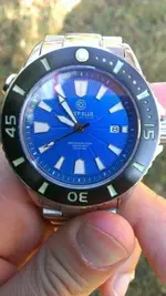 IMAG0072.webp