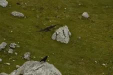 14320567078_40832d7659_h.webp