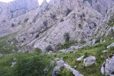 14300918317_0f01ec78bb_h.webp