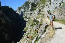 14445896995_45527bfbf0_h.webp